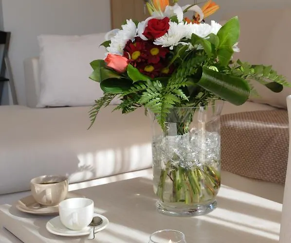 Next To , Taverns Bars & 10 To Lindos Haraki